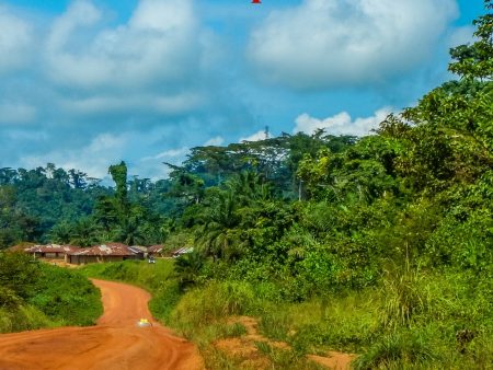 Blodsbröder : vår vänskap i Liberia - en berättelse om sann vänskap över alla gränser For Discount