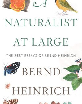 Naturalist at Large: The Best Essays of Bernd Heinrich, A Online now