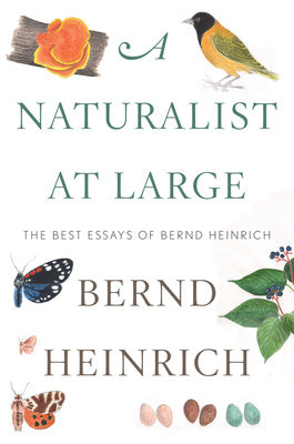 Naturalist at Large: The Best Essays of Bernd Heinrich, A Online now