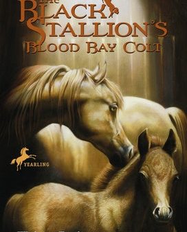 Black Stallion s Blood Bay Colt: (Reissue), The Online now