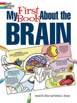 My First Book about the Brain on Sale