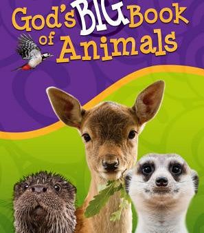 God s Big Book of Animals Cheap