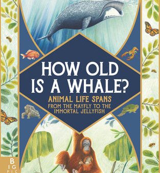 How Old Is a Whale?: Animal Life Spans from the Mayfly to the Immortal Jellyfish Fashion