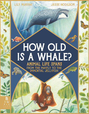 How Old Is a Whale?: Animal Life Spans from the Mayfly to the Immortal Jellyfish Fashion