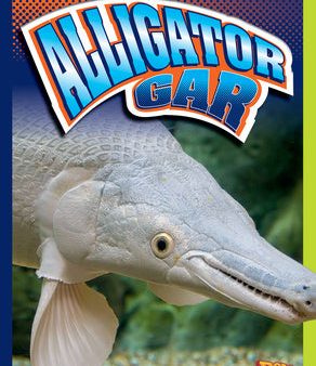 Alligator Gar Supply