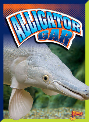 Alligator Gar Supply