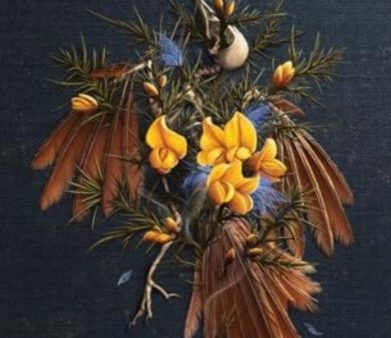 Gorse on Sale