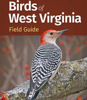 Birds of West Virginia Field Guide Hot on Sale