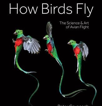 How Birds Fly: The Science and Art of Avian Flight For Sale