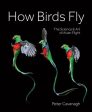 How Birds Fly: The Science and Art of Avian Flight For Sale