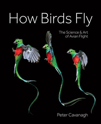 How Birds Fly: The Science and Art of Avian Flight For Sale