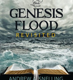 Genesis Flood Revisited For Cheap