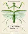 Innumerable Insects: The Story of the Most Diverse and Myriad Animals on Earth For Cheap