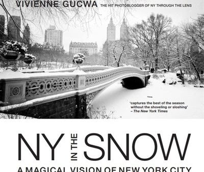 New York in the Snow: A Magical Vision of New York City For Cheap