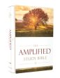 Amplified Study Bible, Hardcover, The Cheap