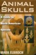 Animal Skulls: A Guide to North American Species Hot on Sale