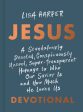 Jesus: A Scandalously Devoted, Conspicuously Uncool, Super-Transparent Homage to Who Our Savior Is and How Much He Loves Us D on Sale