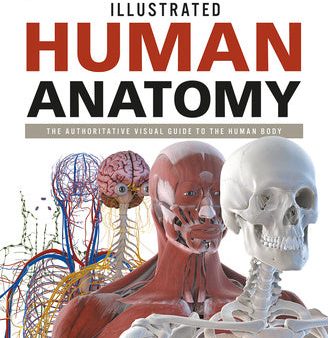 Illustrated Human Anatomy: The Authoritative Visual Guide to the Human Body For Discount