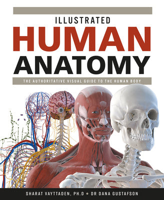 Illustrated Human Anatomy: The Authoritative Visual Guide to the Human Body For Discount