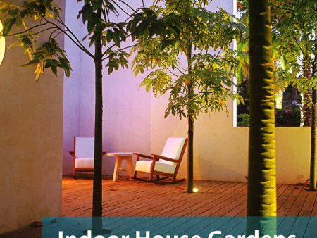 Indoor House Gardens For Sale